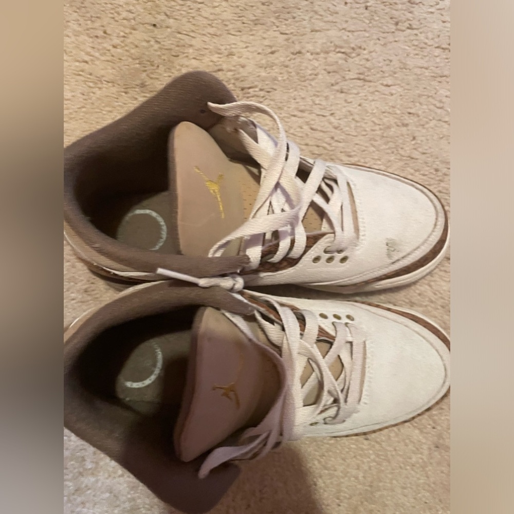 Nike air Jordan 3 retro shoes